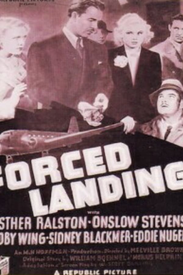 Cover of the movie Forced Landing