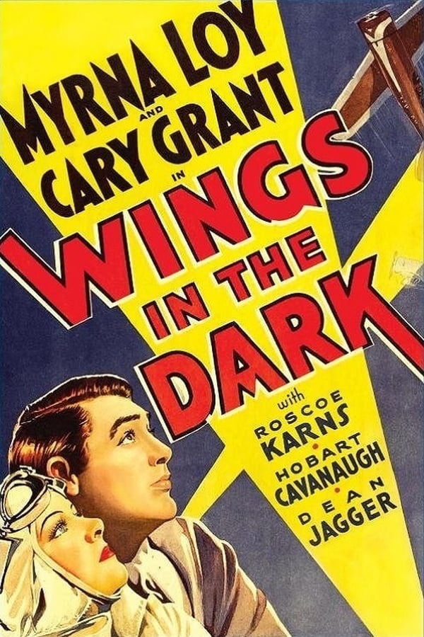 Cover of the movie Wings in the Dark