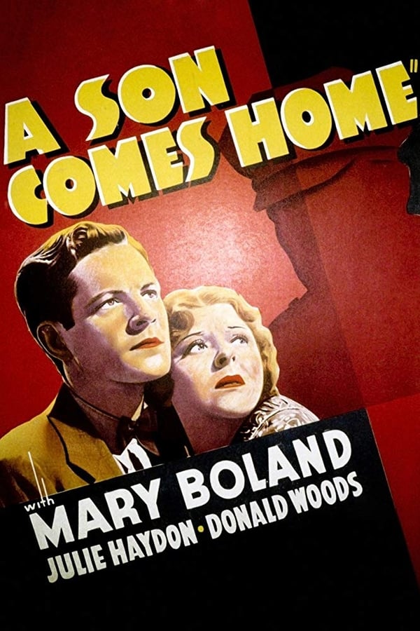 Cover of the movie A Son Comes Home