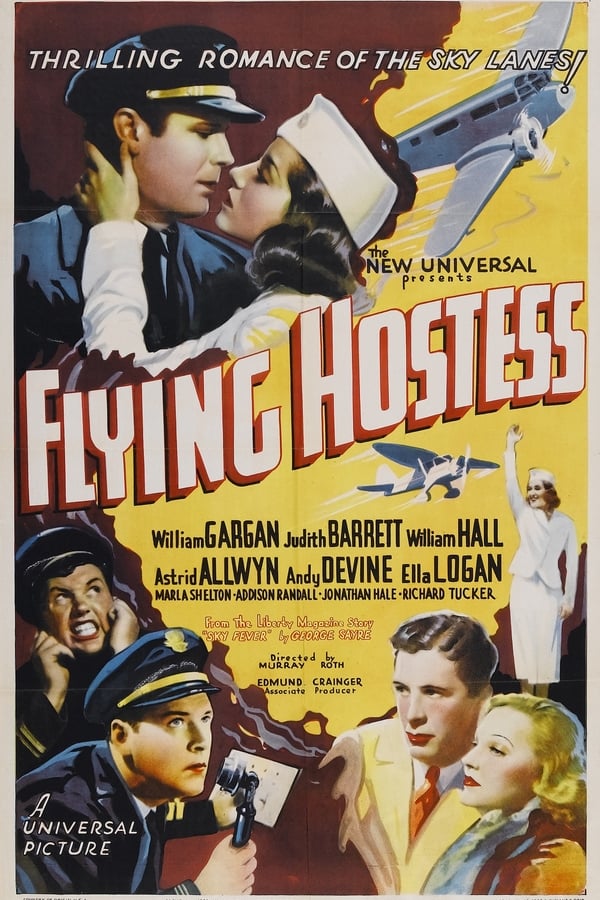 Cover of the movie Flying Hostess