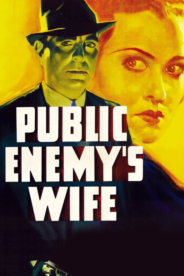 Cover of the movie Public Enemy's Wife