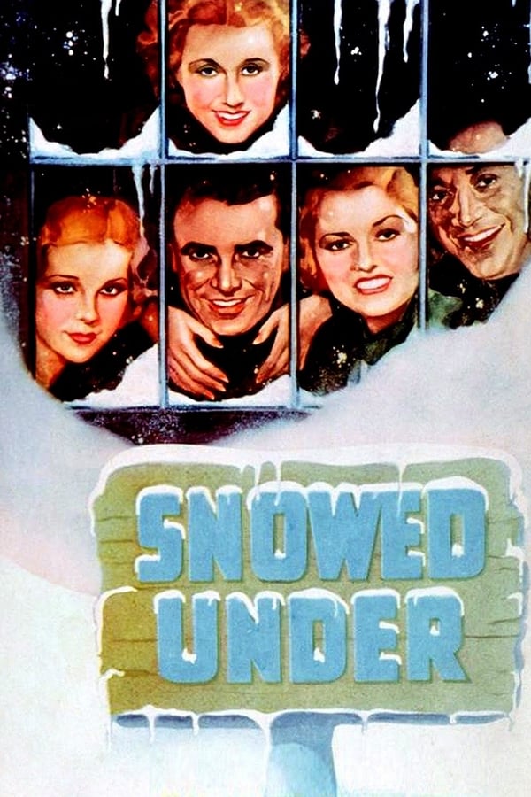Cover of the movie Snowed Under