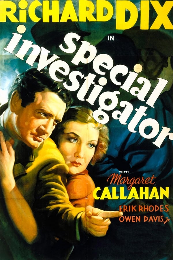 Cover of the movie Special Investigator