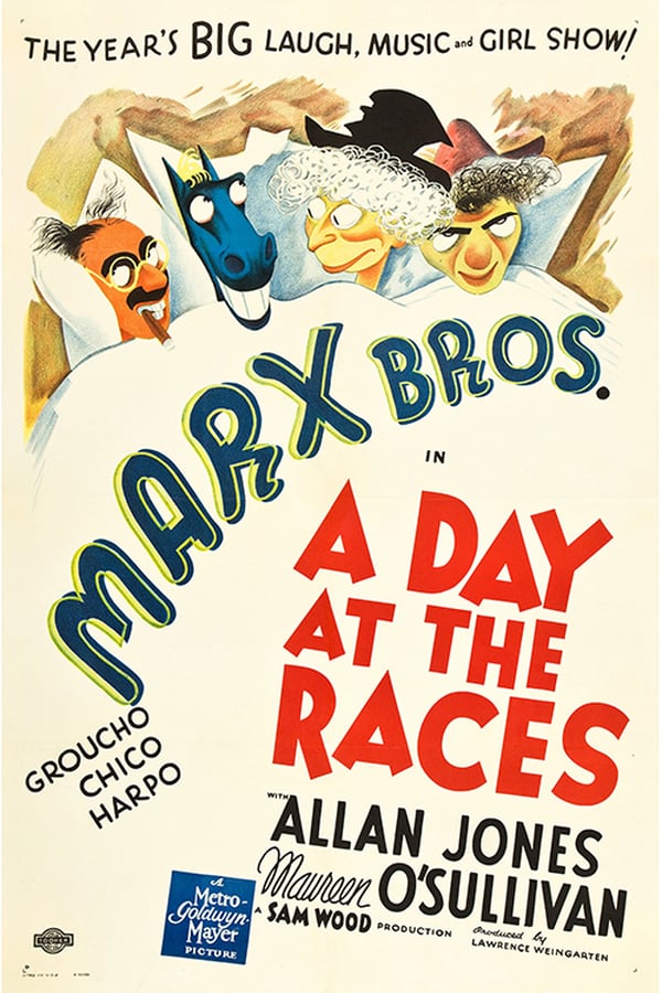 Cover of the movie A Day at the Races
