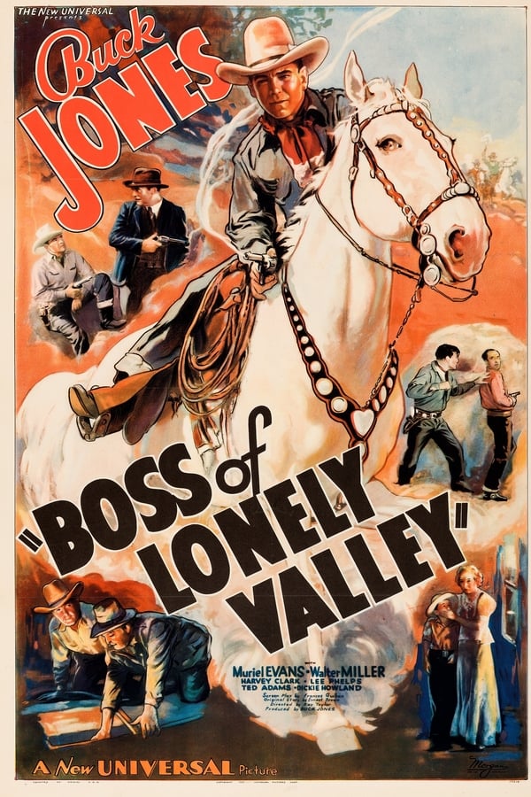 Cover of the movie Boss of Lonely Valley