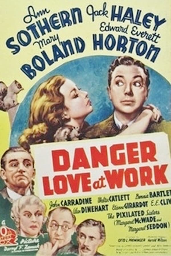 Cover of the movie Danger - Love at Work