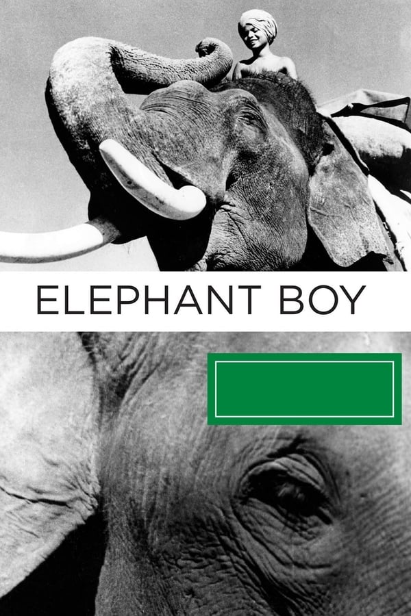 Cover of the movie Elephant Boy