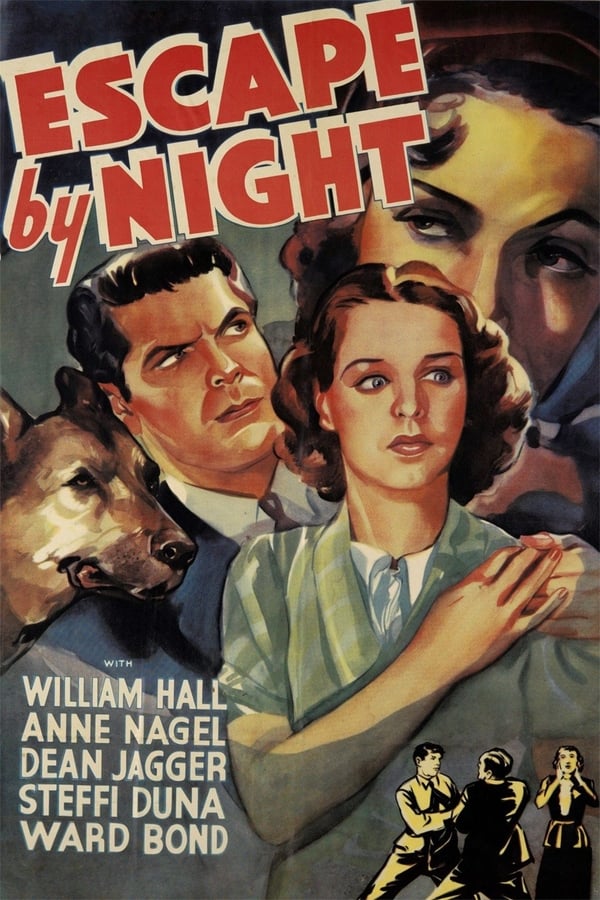Cover of the movie Escape by Night