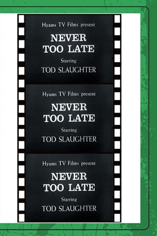 Cover of the movie It's Never Too Late to Mend