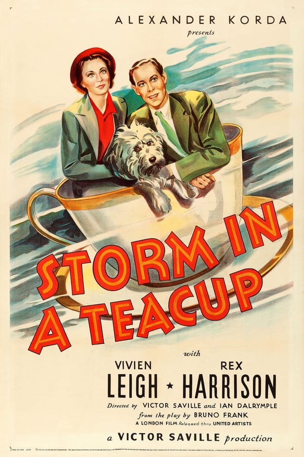 Cover of the movie Storm in a Teacup