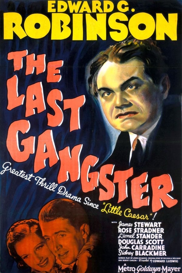 Cover of the movie The Last Gangster