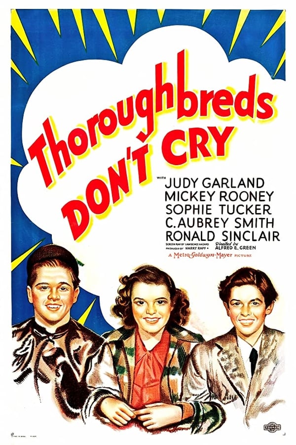 Cover of the movie Thoroughbreds Don't Cry