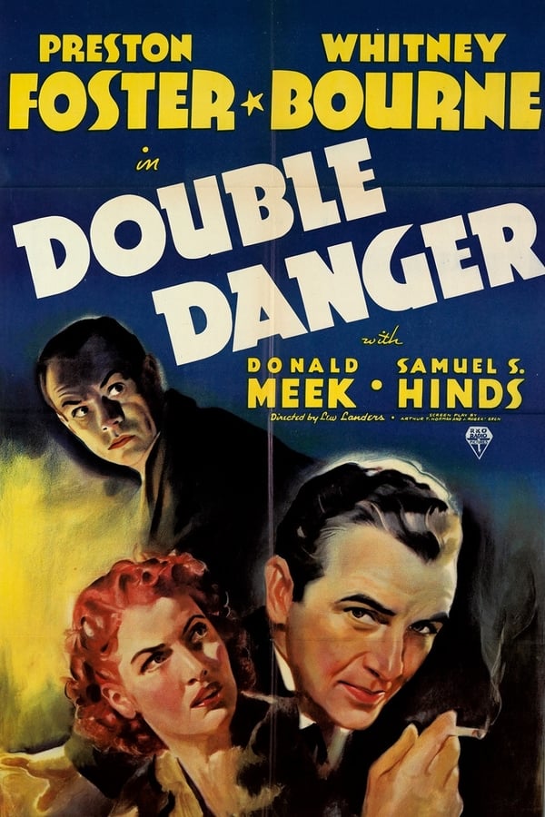 Cover of the movie Double Danger