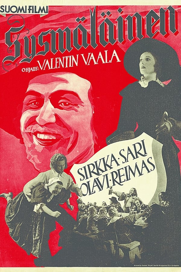 Cover of the movie The Man from Sysmä