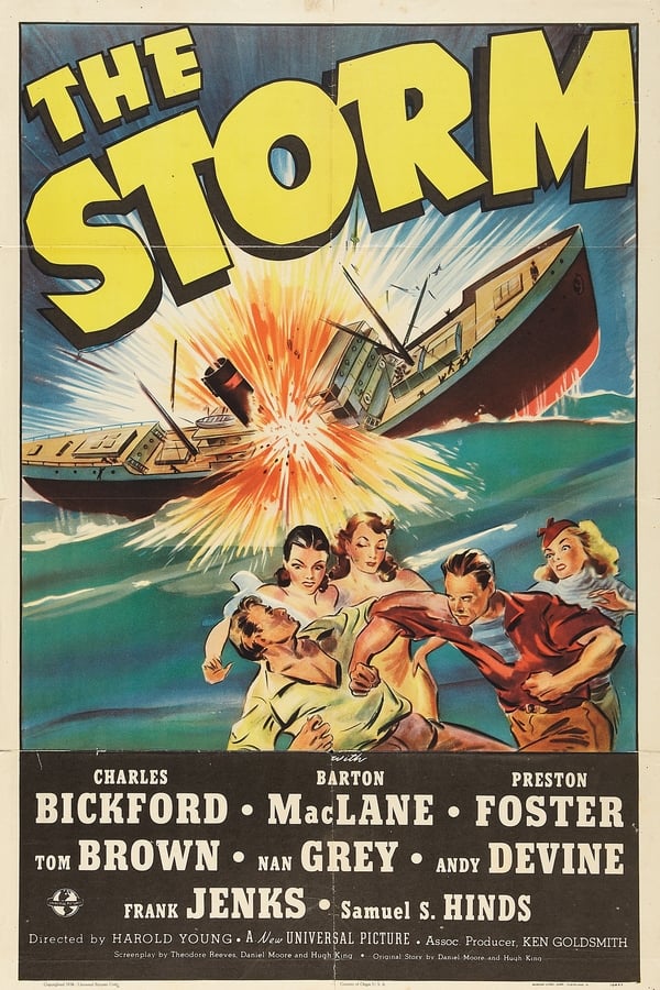 Cover of the movie The Storm