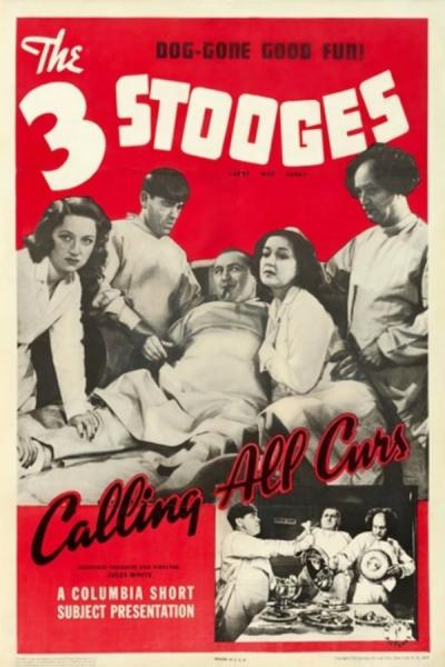 Cover of Calling All Curs