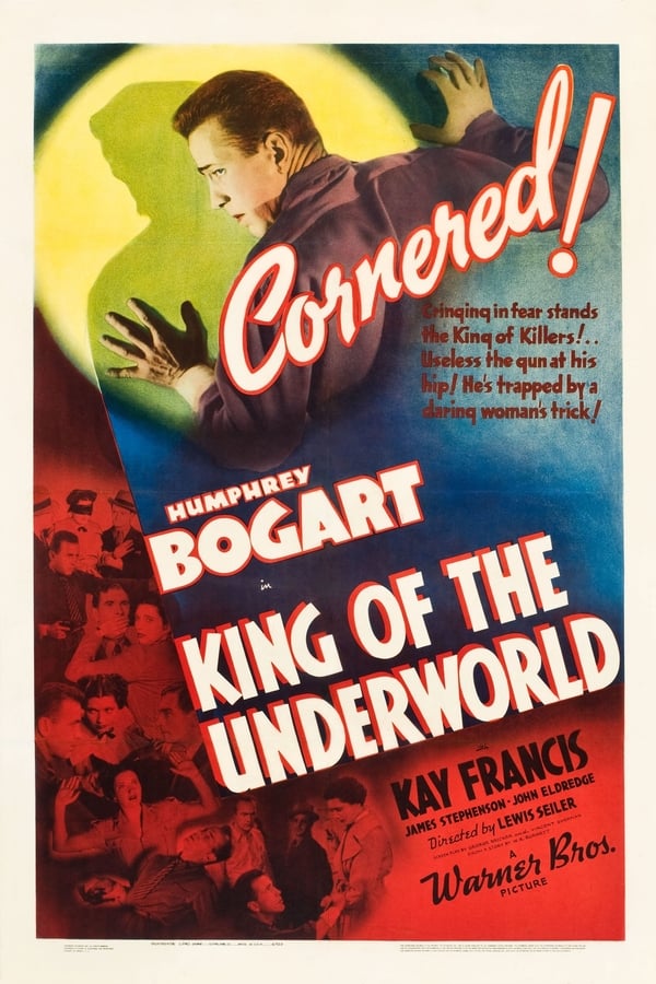 Cover of the movie King of the Underworld