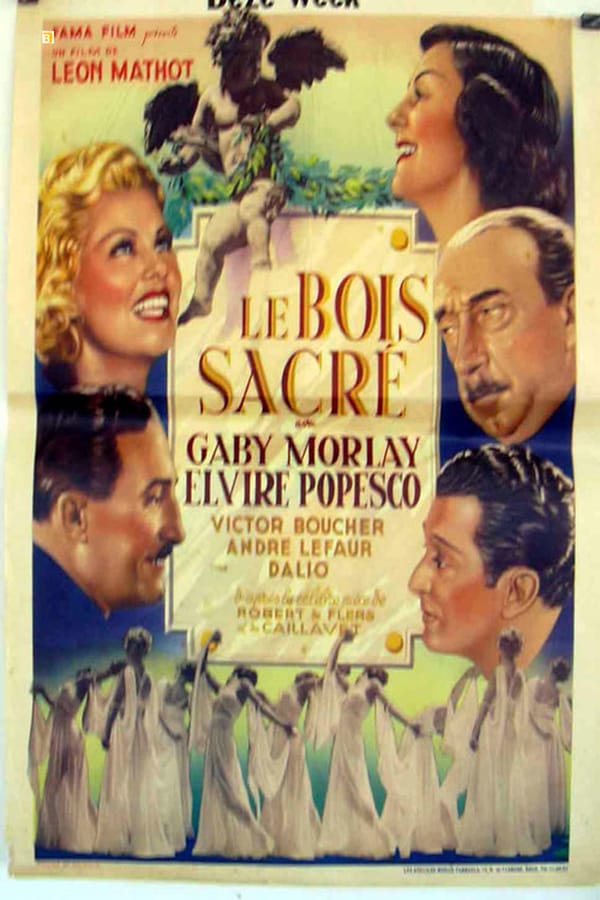 Cover of the movie Sacred Woods