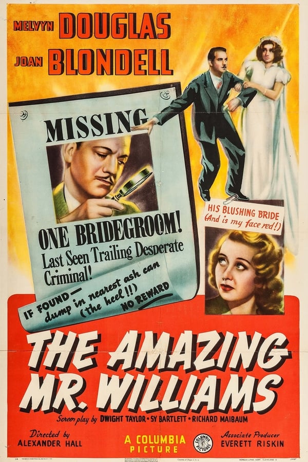 Cover of the movie The Amazing Mr. Williams