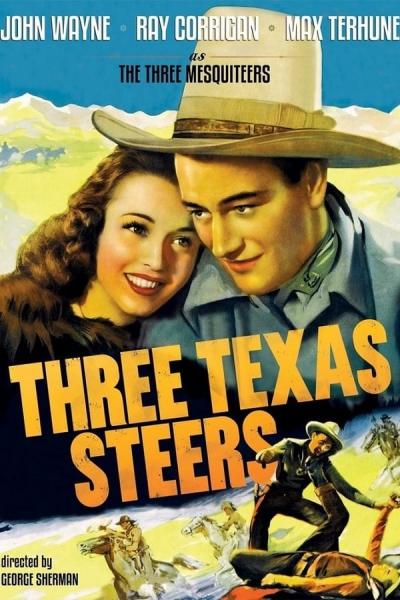 Cover of Three Texas Steers