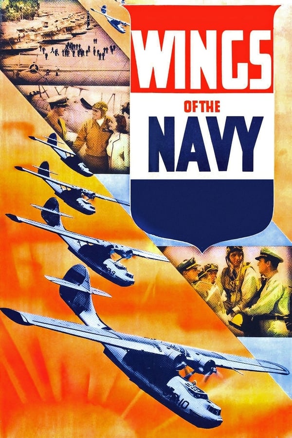 Cover of the movie Wings of the Navy