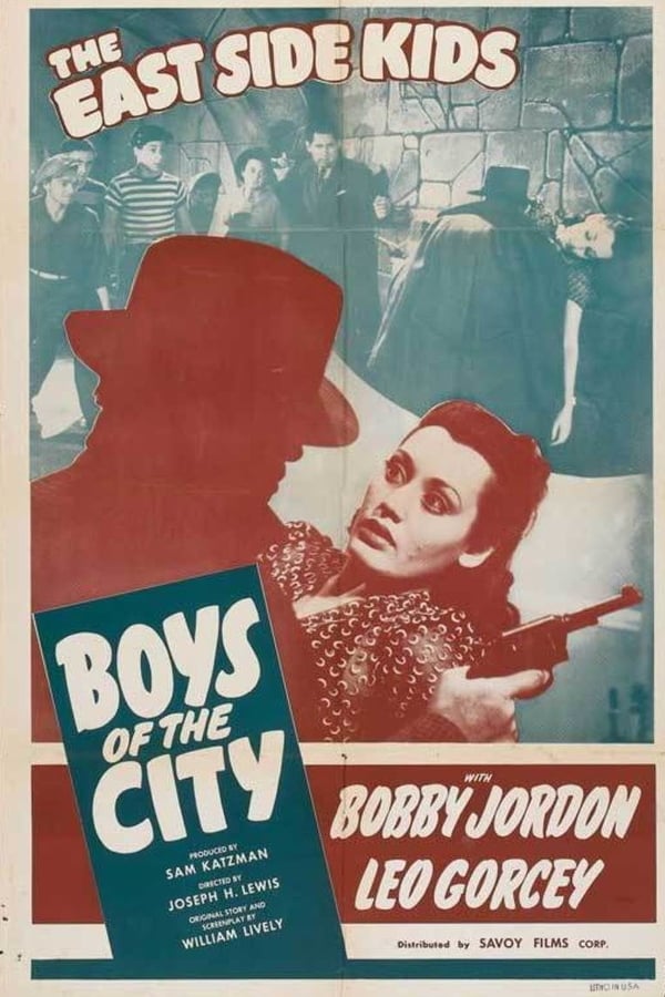 Cover of the movie Boys of the City