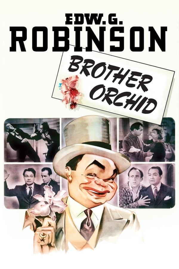 Cover of the movie Brother Orchid