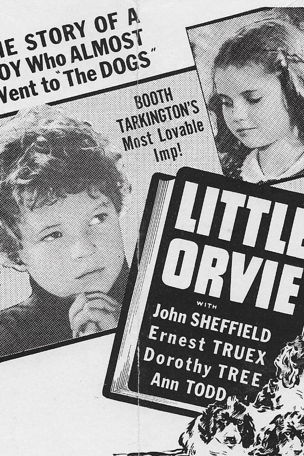 Cover of the movie Little Orvie