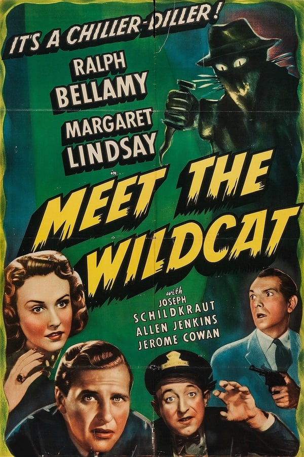 Cover of the movie Meet the Wildcat