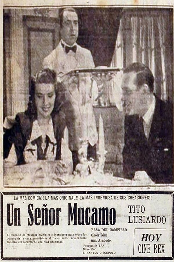 Cover of the movie Un señor mucamo
