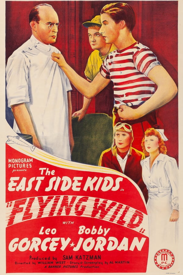 Cover of the movie Flying Wild