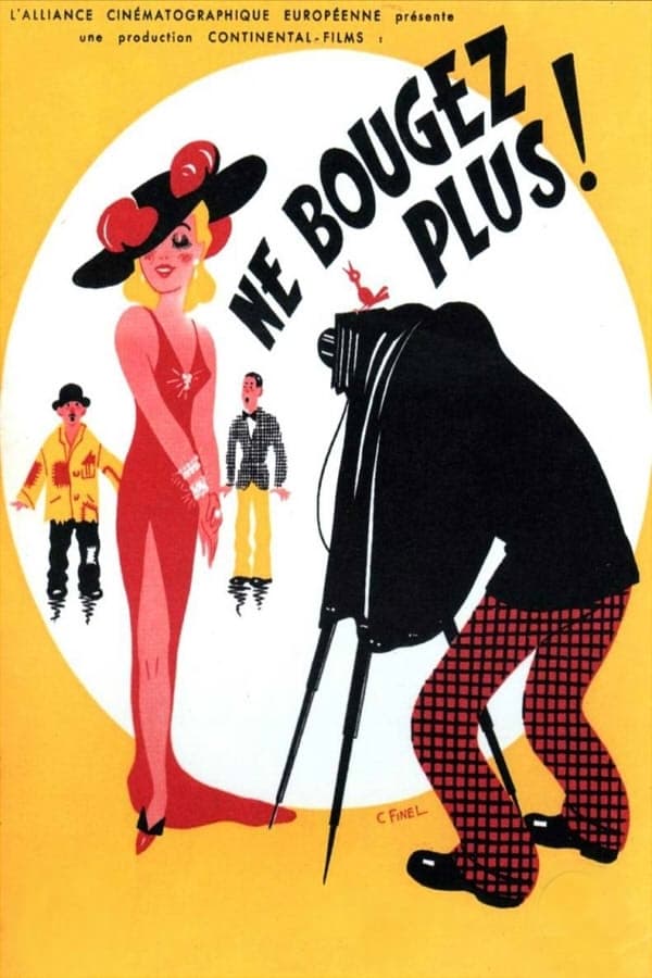 Cover of the movie Ne bougez plus!