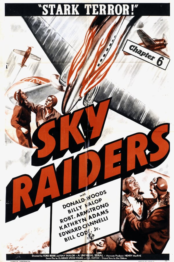 Cover of the movie Sky Raiders