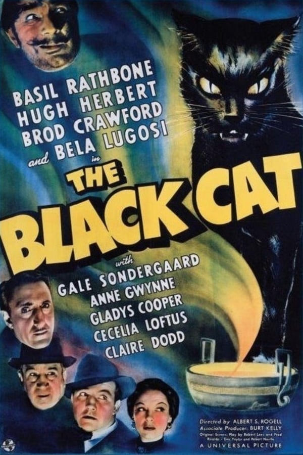 Cover of the movie The Black Cat