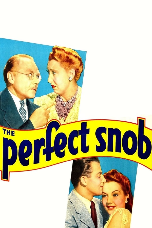Cover of the movie The Perfect Snob