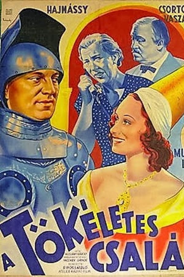 Cover of the movie A tökéletes család
