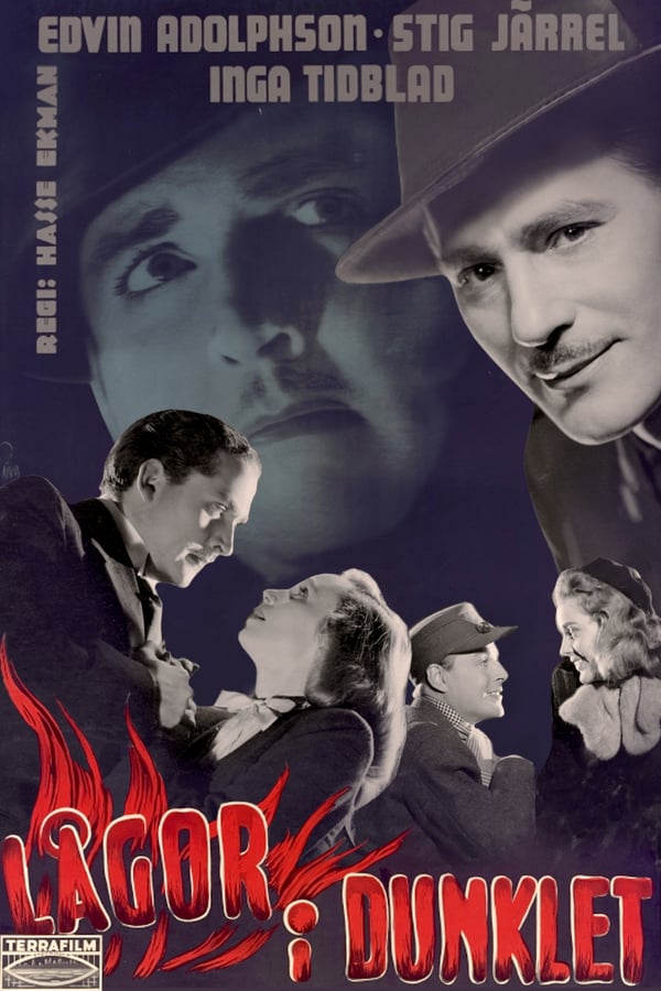 Cover of the movie Lågor i dunklet