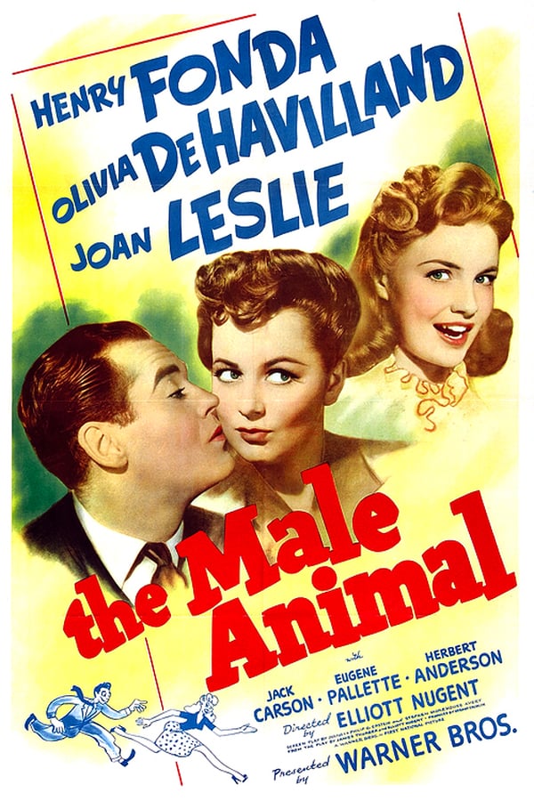 Cover of the movie The Male Animal