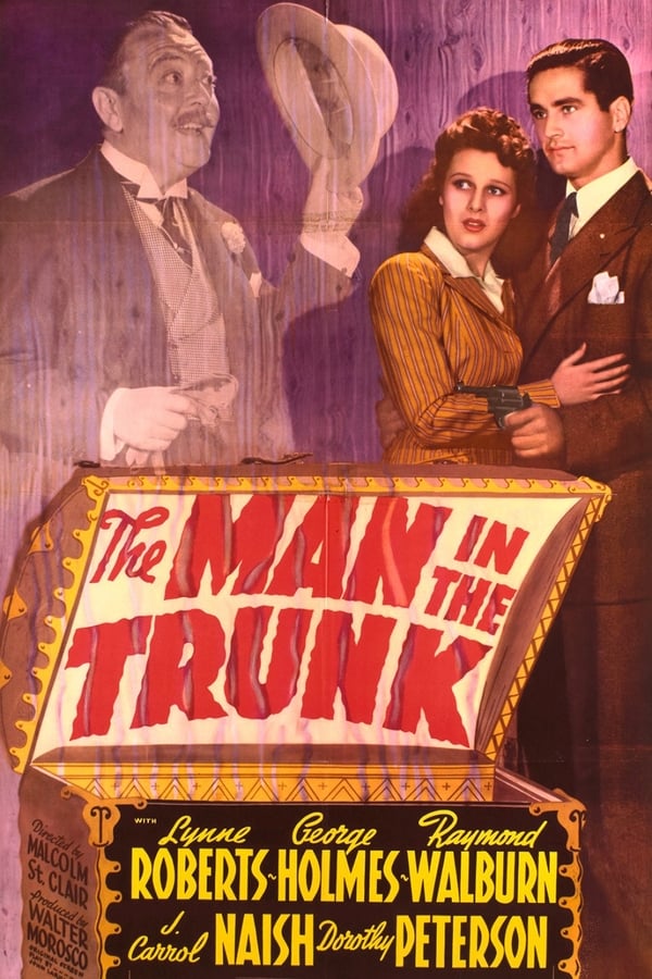 Cover of the movie The Man in the Trunk