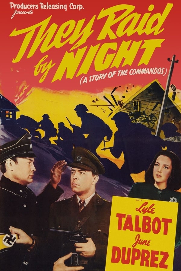Cover of the movie They Raid by Night