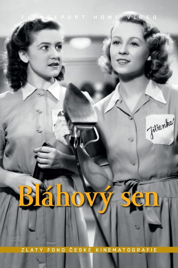 Cover of the movie Bláhový sen