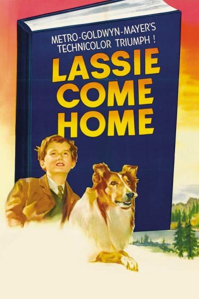 Cover of Lassie Come Home
