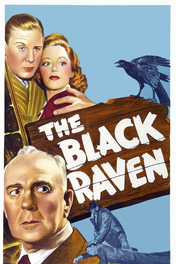 Cover of the movie The Black Raven