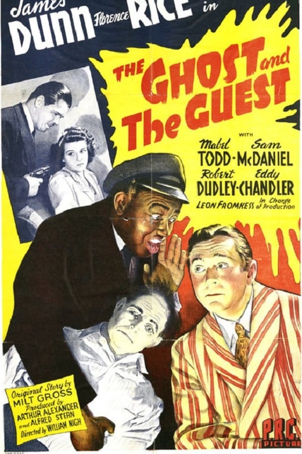 Cover of the movie The Ghost and the Guest