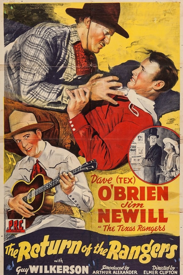 Cover of the movie The Return of the Rangers