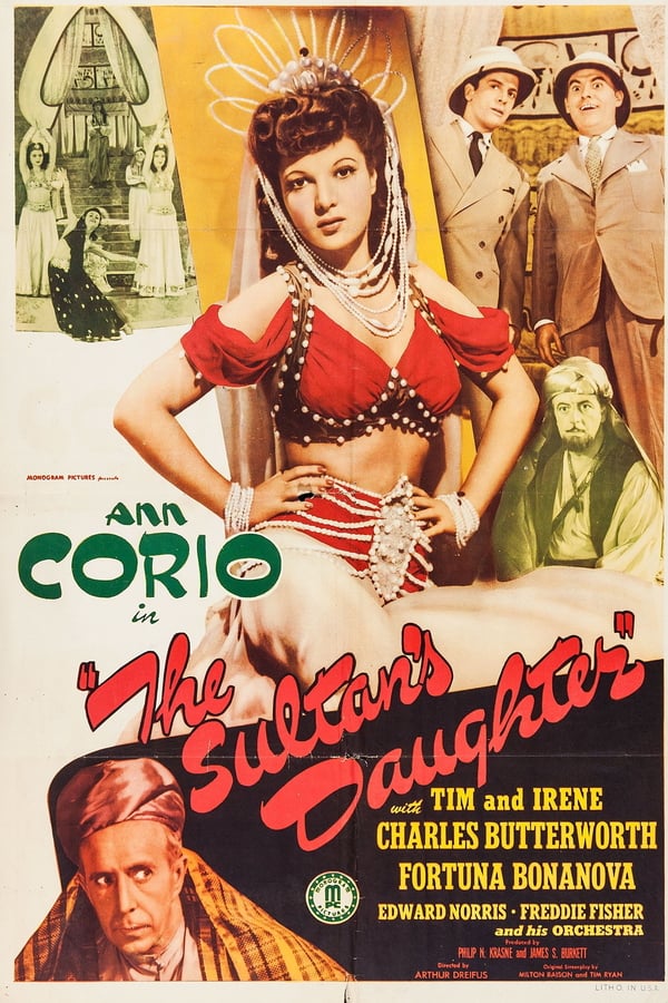 Cover of the movie The Sultan's Daughter