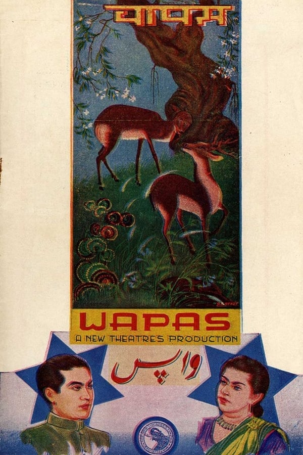 Cover of the movie Wapas