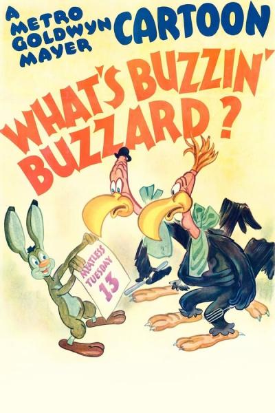 Cover of What's Buzzin' Buzzard?