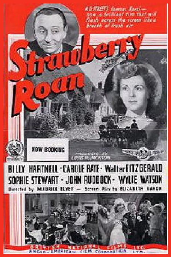 Cover of the movie Strawberry Roan