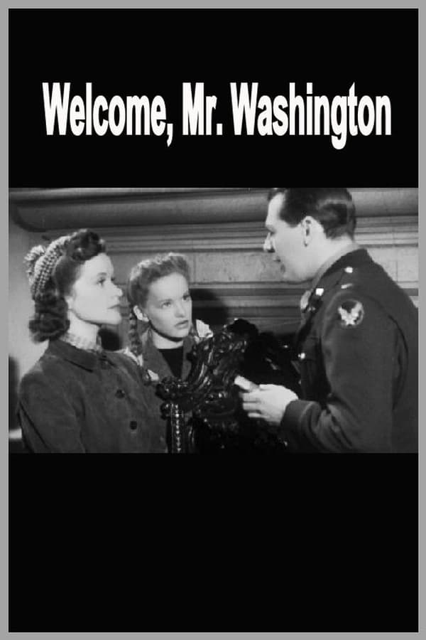 Cover of the movie Welcome, Mr Washington